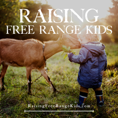 Raising Free Range Kids - All Audio